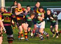 Monaghan 1st XV Vs Lurgan April 27th 2012 (13)
